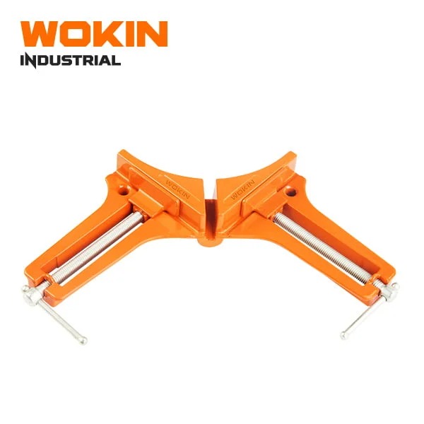 АГОЛНА СТЕГА